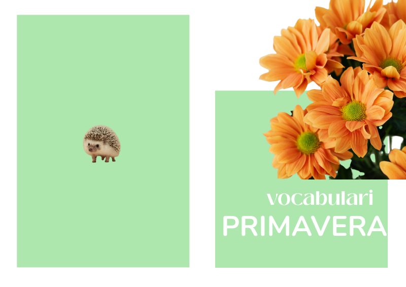 Vista previa de Vocabulari Primavera (1)
