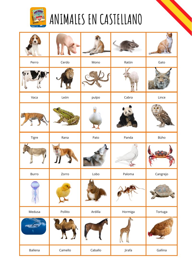 Vista previa de Sa2 Índice Vocabulario Básico - Animales (3)