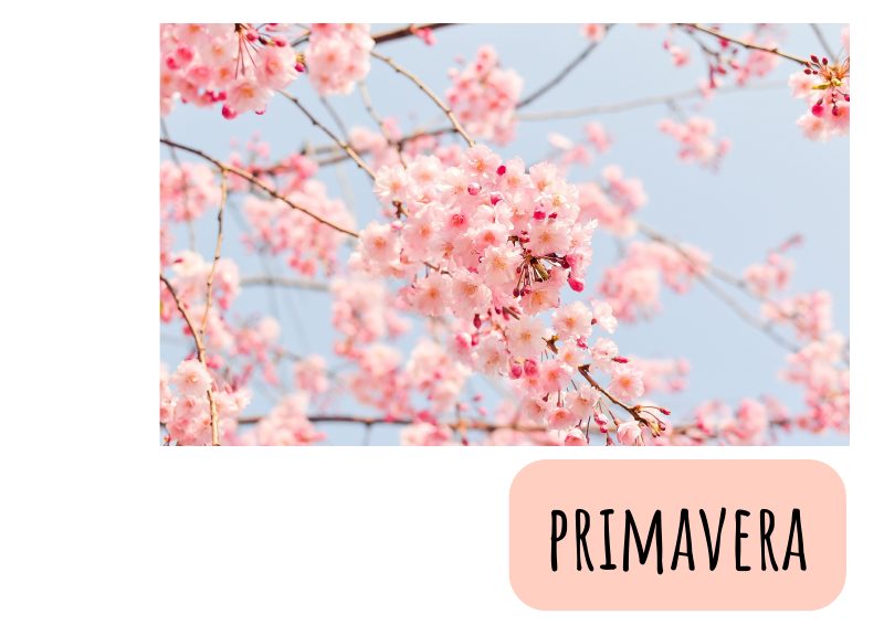 Vista previa de Dossier Primavera Català
