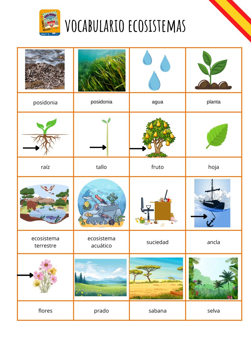Vista previa de Sa3 - Índice Vocabulario Básico.pdf
